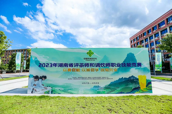 2023年湖南省評茶師和調(diào)飲師職業(yè)技能競賽圓滿閉幕 省茶業(yè)集團喜獲佳績