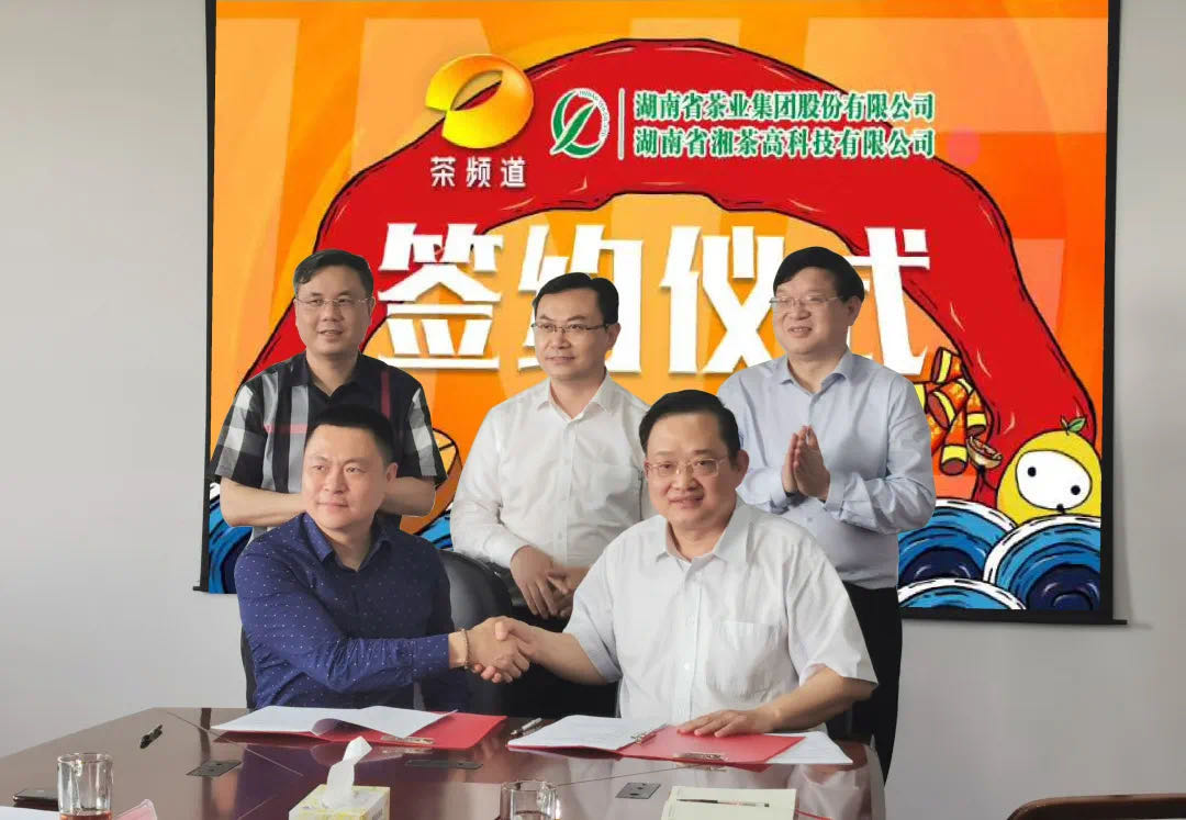 院士見(jiàn)證，輕輕茶發(fā)力品牌建設(shè)，與茶頻道達(dá)成深度合作